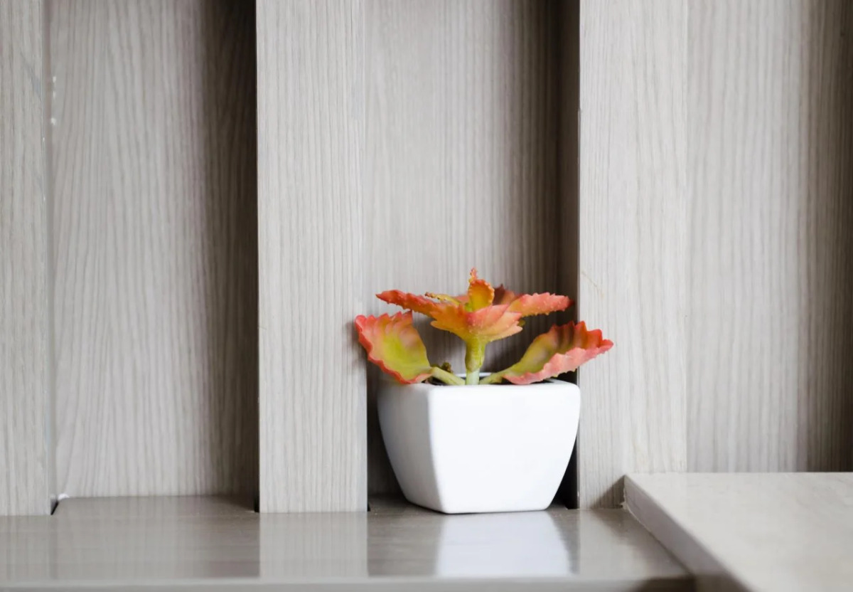 Mirage Express Patong Phuket Hotel