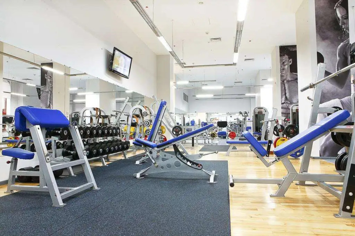 Отель Ark Palace