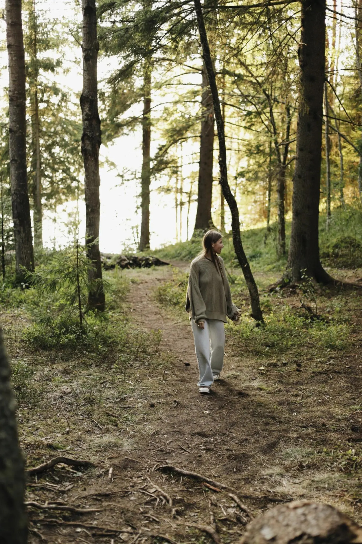 Вили Улей Карелия