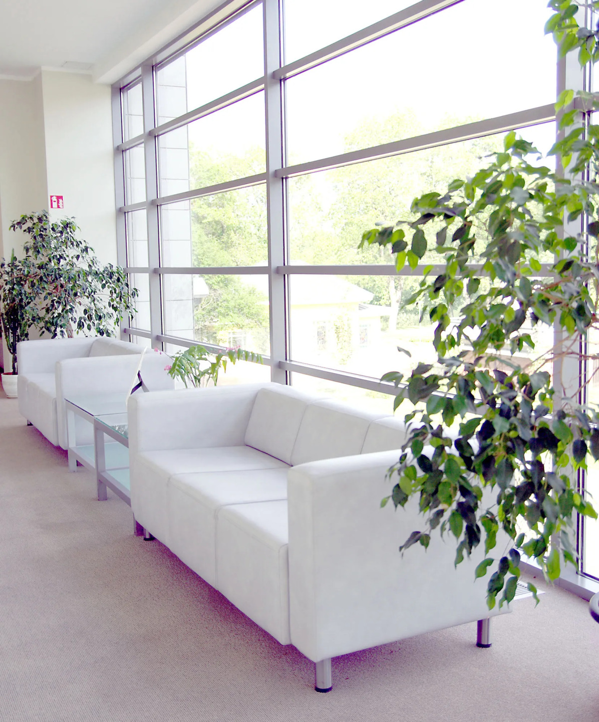 Спа-отель Europa Royale Druskininkai