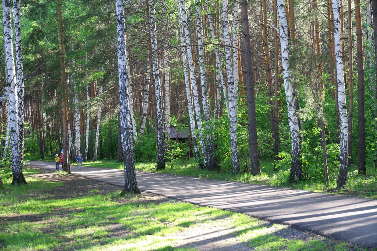 Karagajskij bor