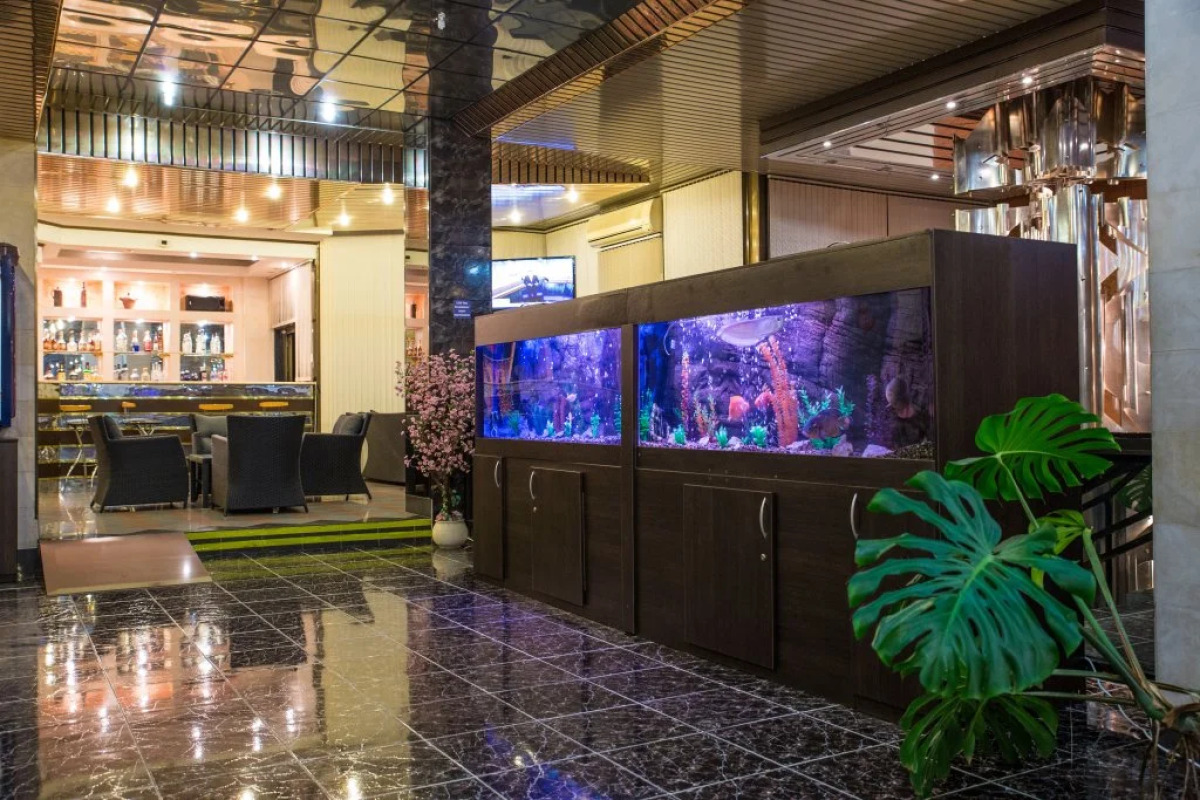 Нева Интернейшнл