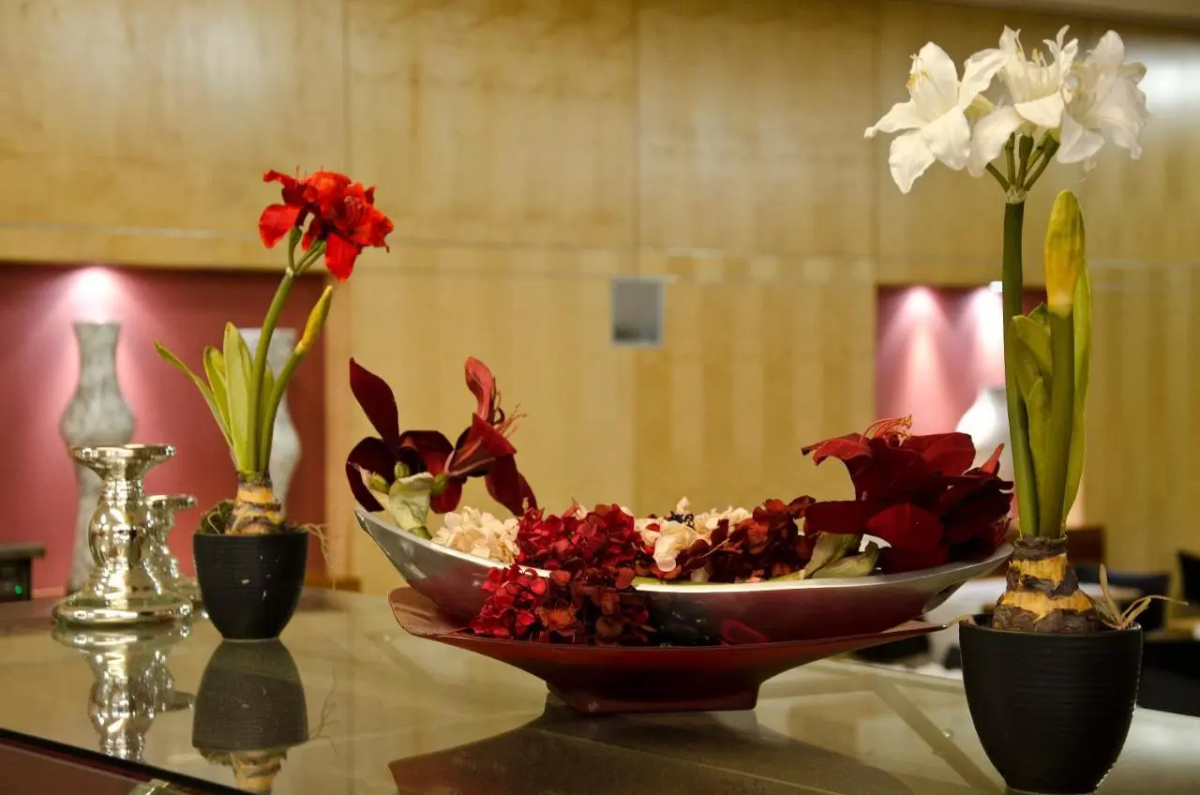 VIP Executive Entrecampos Hotel & Conference