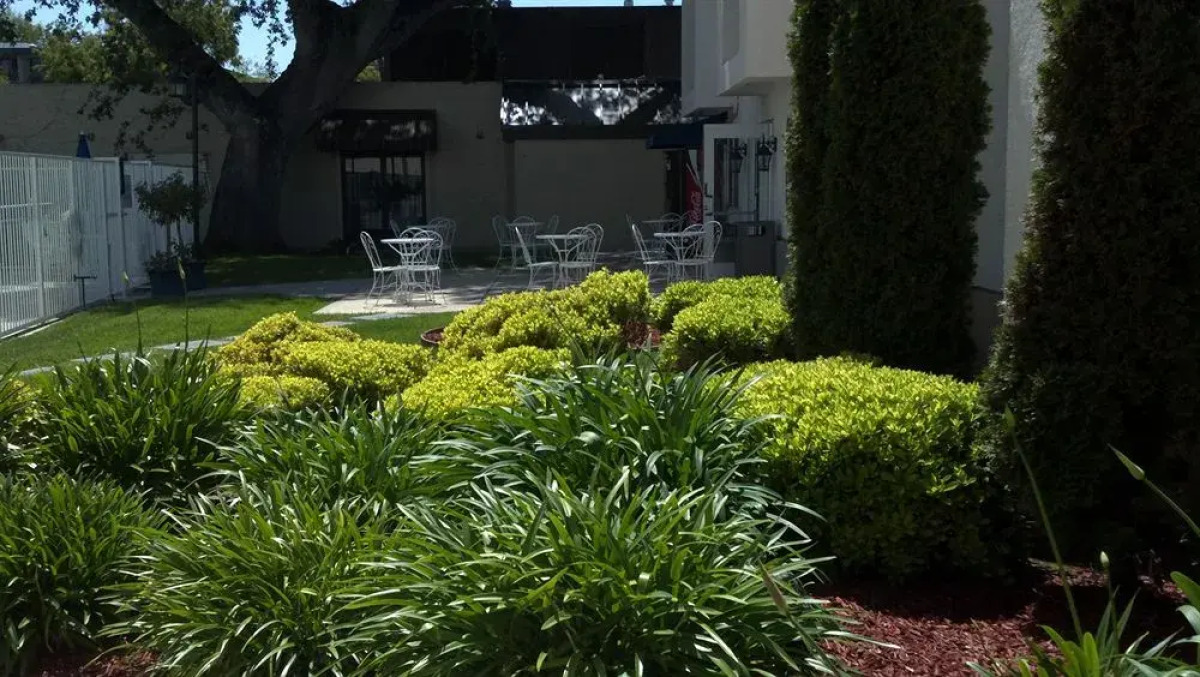 The Hotel Aria - Mountain View