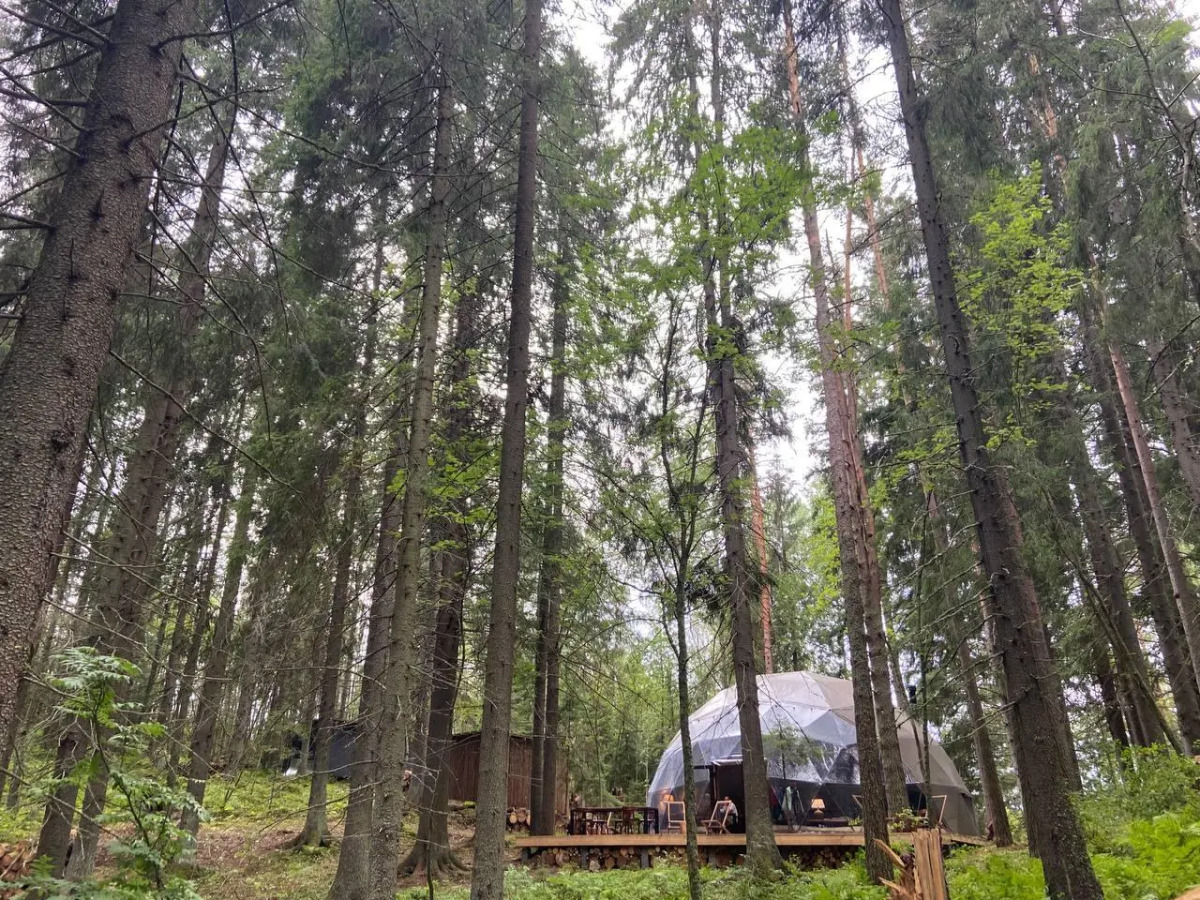 Вили Улей Карелия