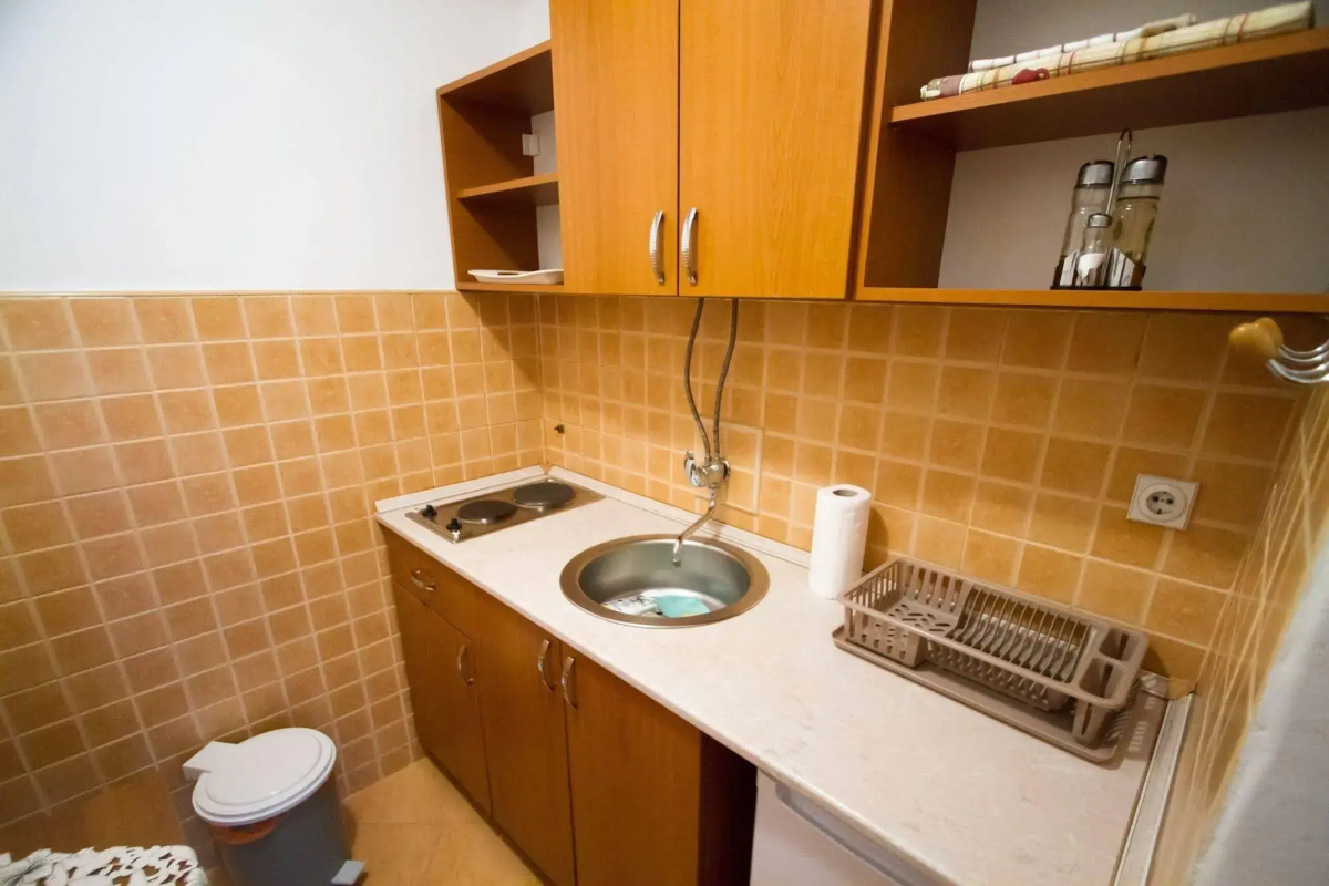 Studio Apartments Petkovic