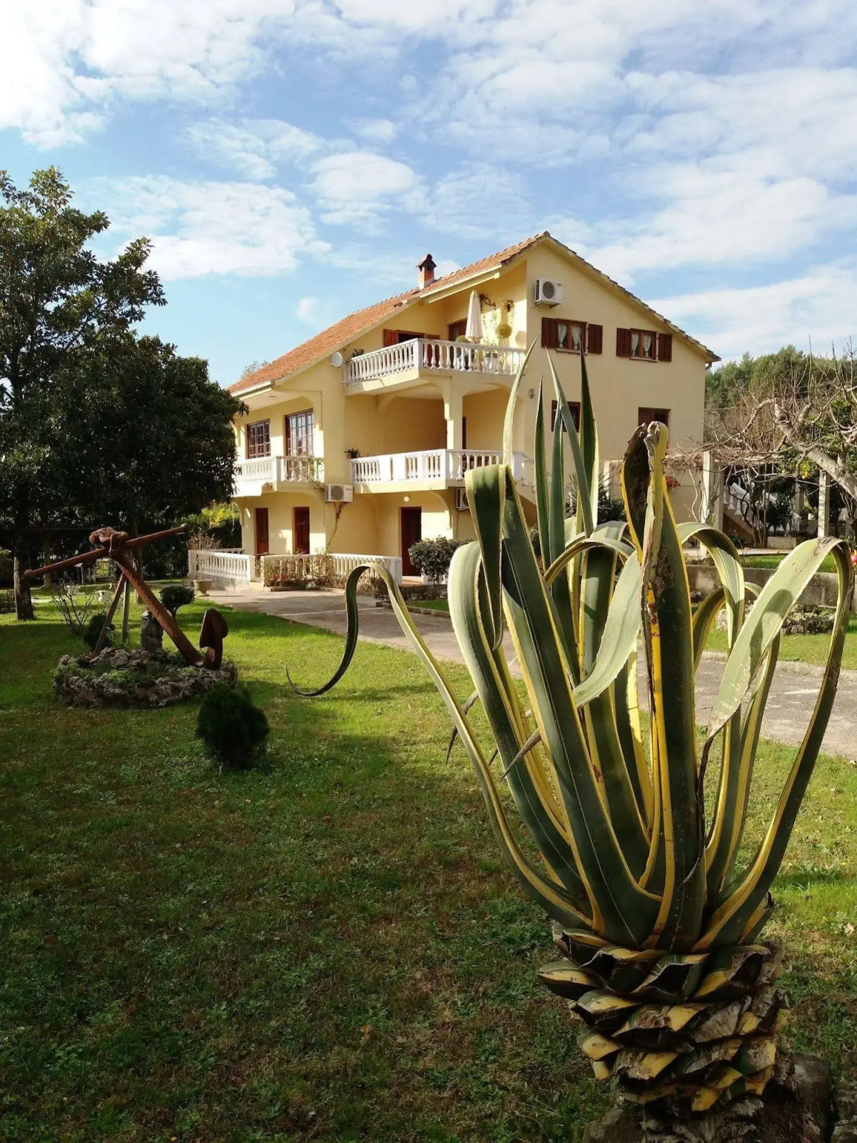 Studio Apartments Petkovic