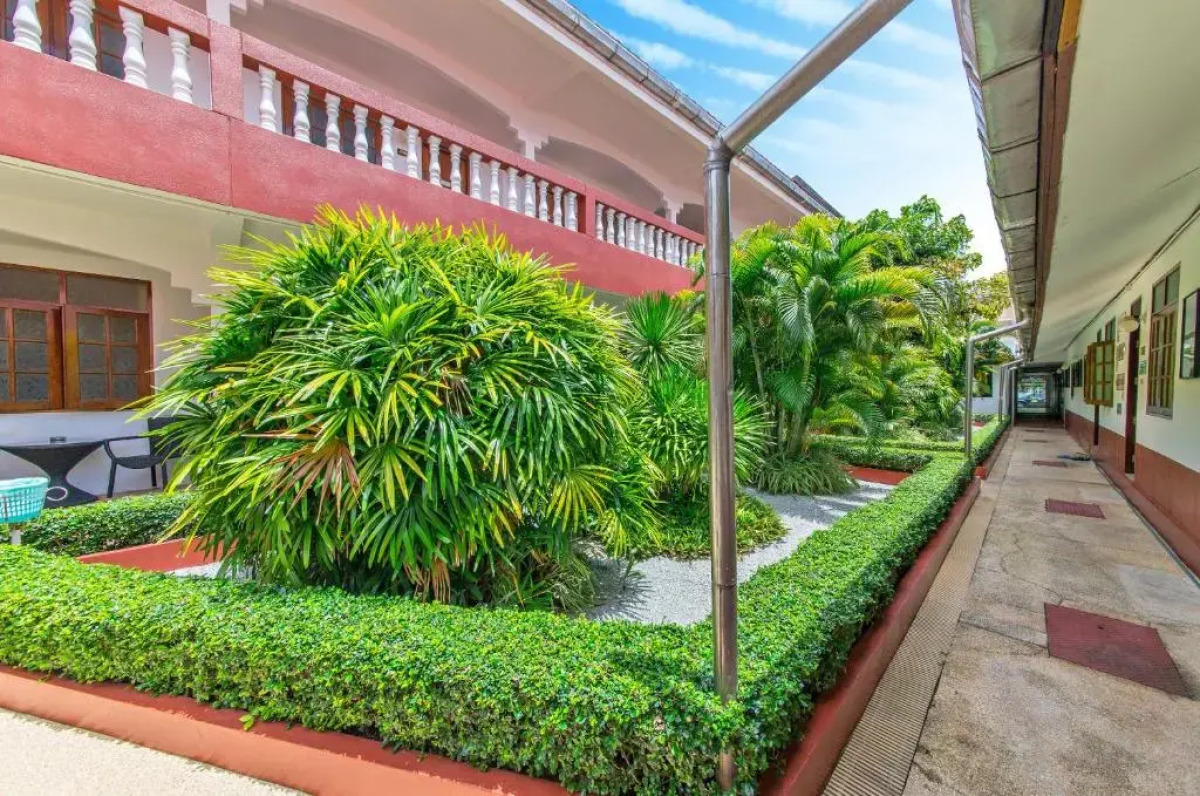 Panda Hotel（Patong Beach）