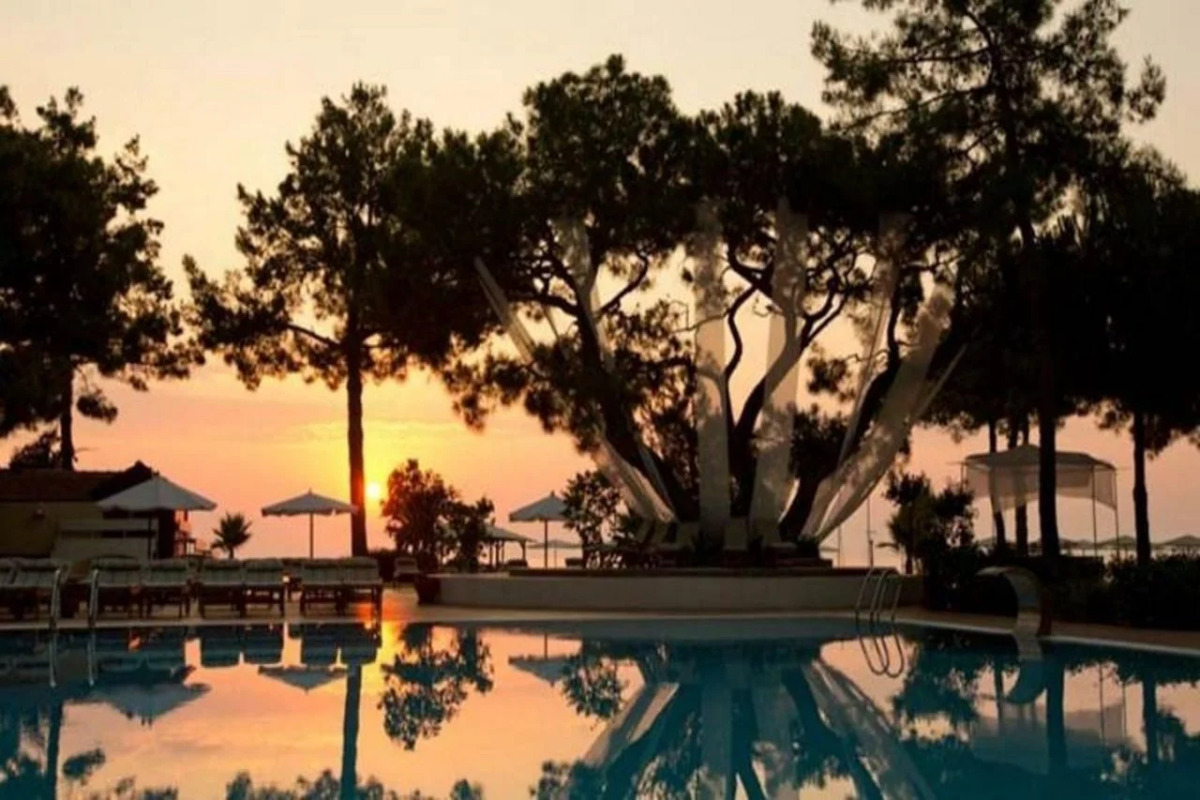 Robinson Camyuva - Adults only