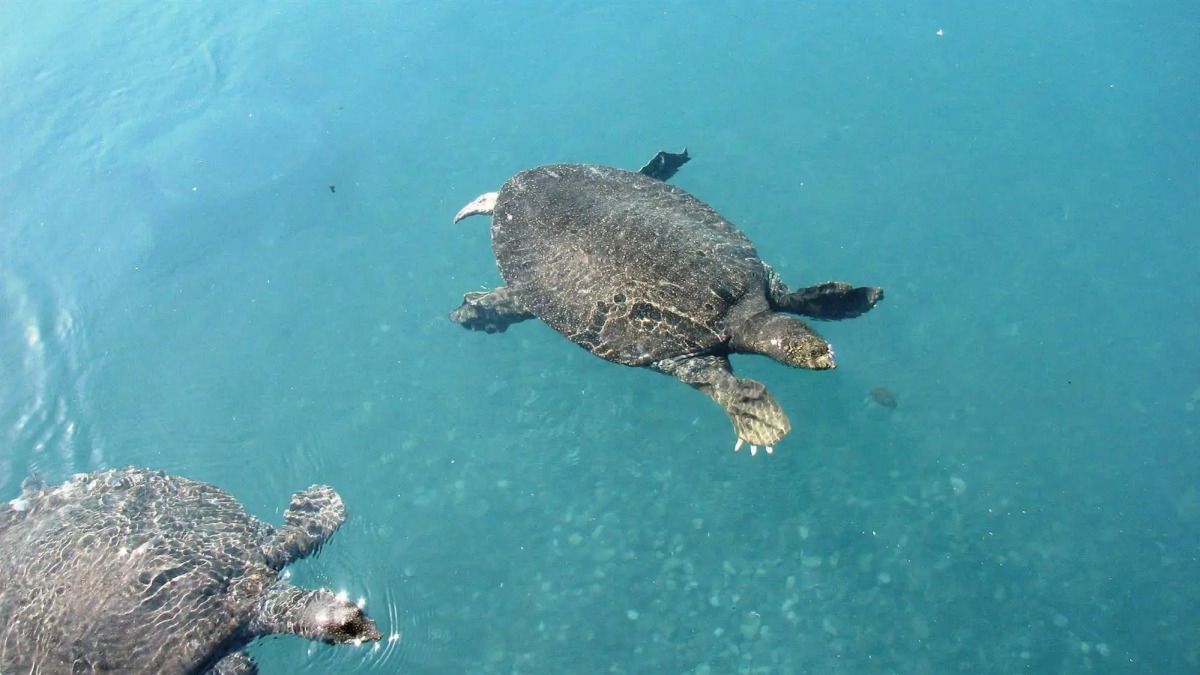 Thermemaris Thermal & Spa Resort