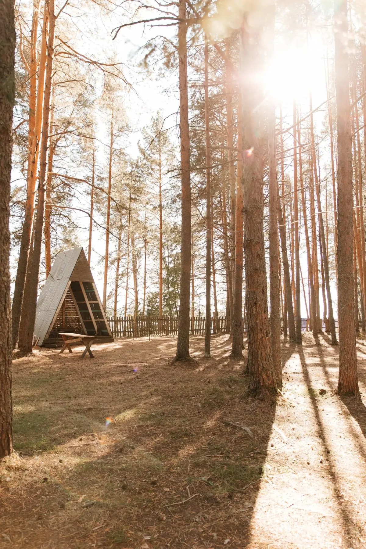 Северная Звезда