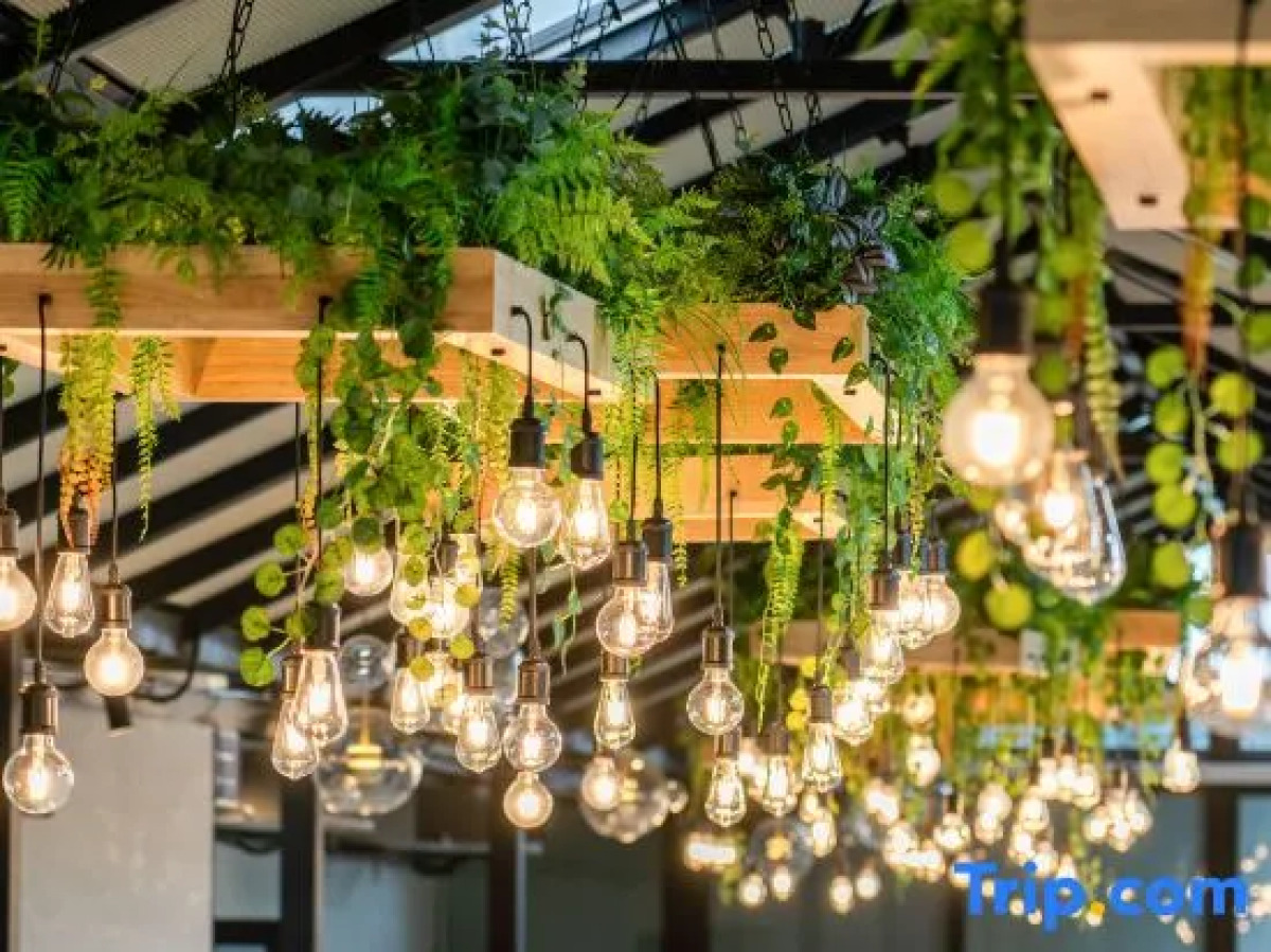 Rezen Retreat City Qiyu