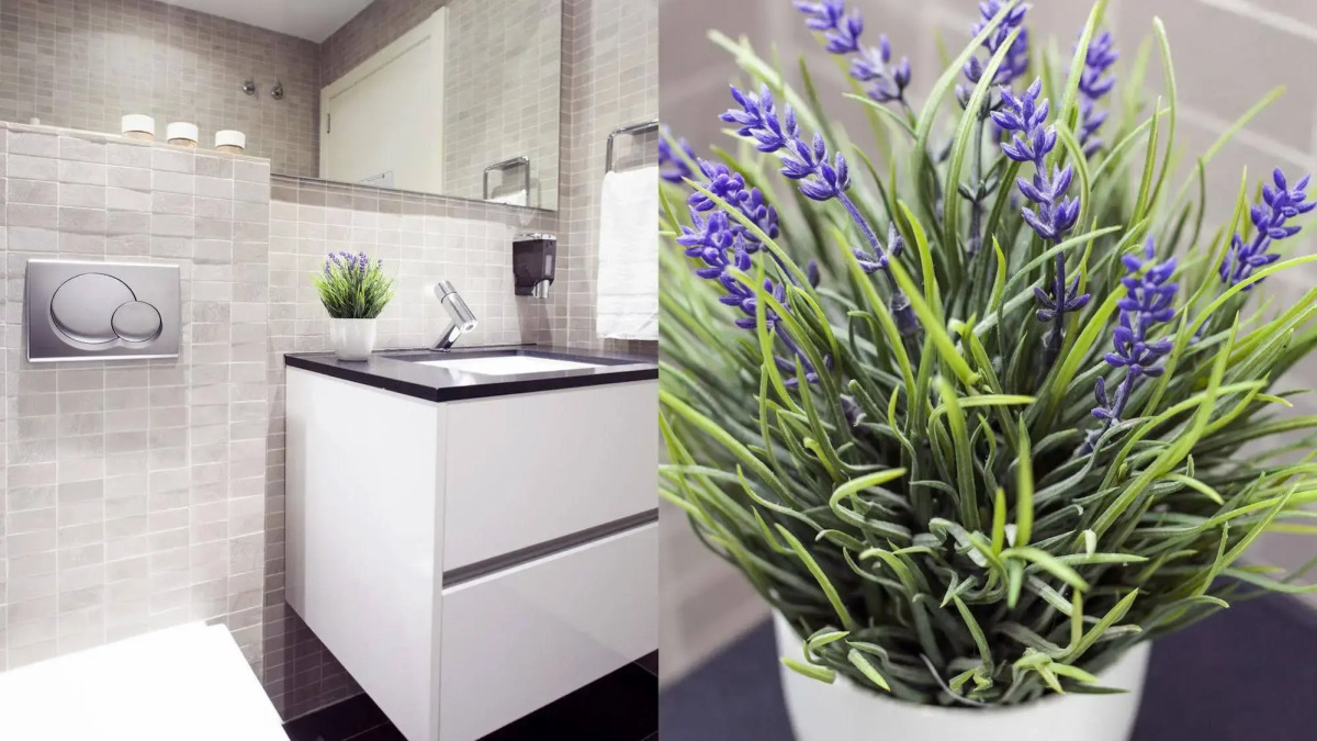 Aspasios Paseo de Gracia Apartments