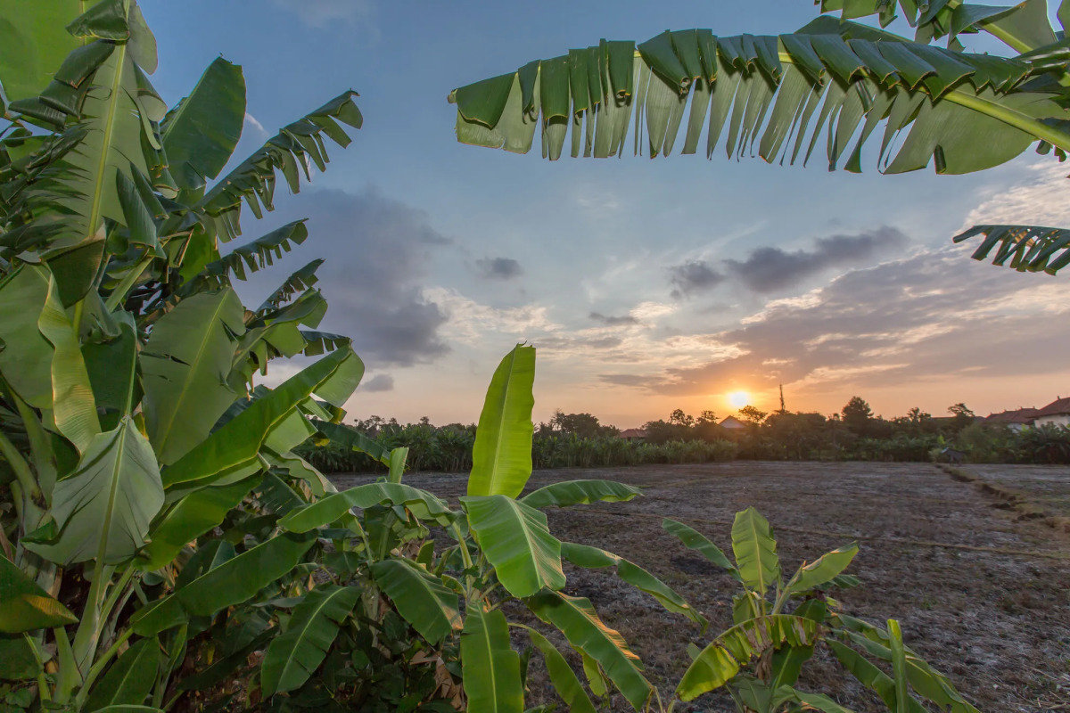 Gajah Villas Bali by Nagisa Bali