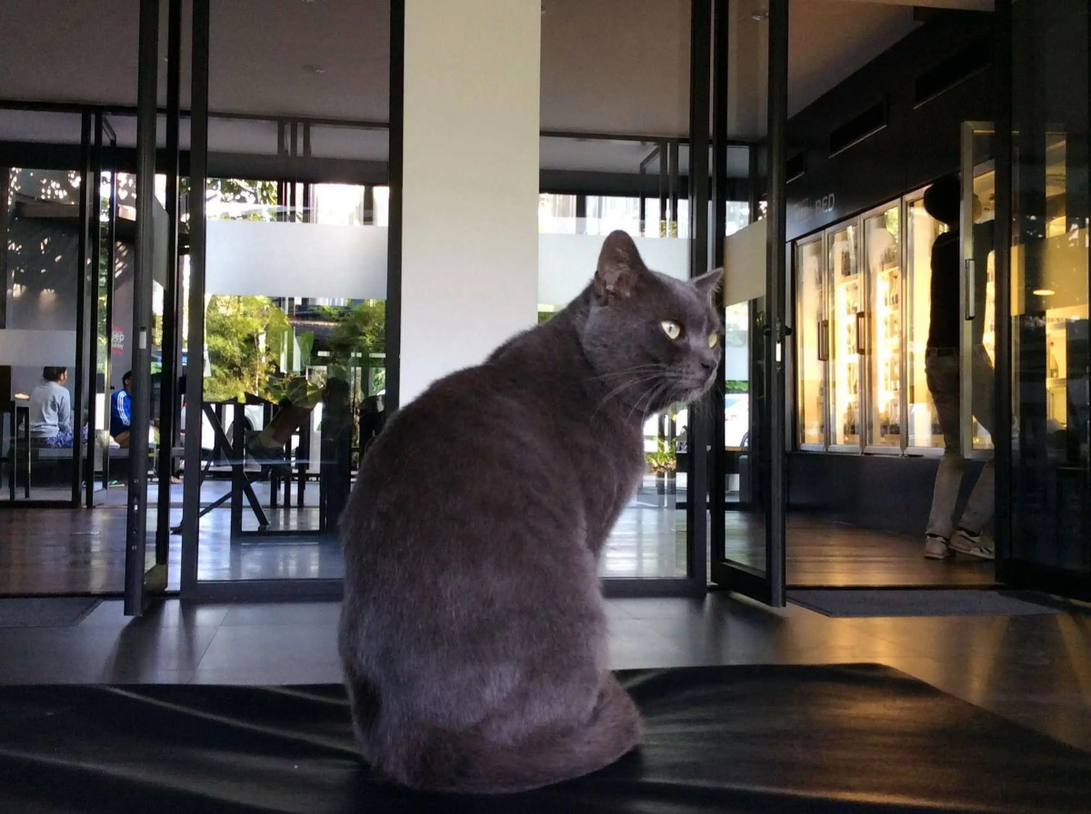 BED Phrasingh Hotel - Adults Only