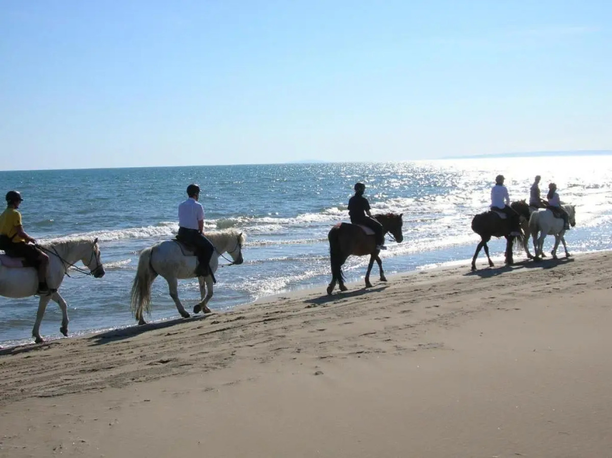 Kyriad Montpellier Centre - Antigone