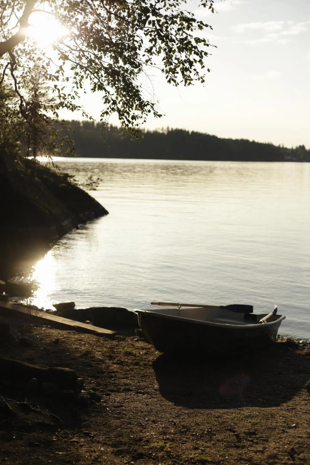 Вили Улей Карелия