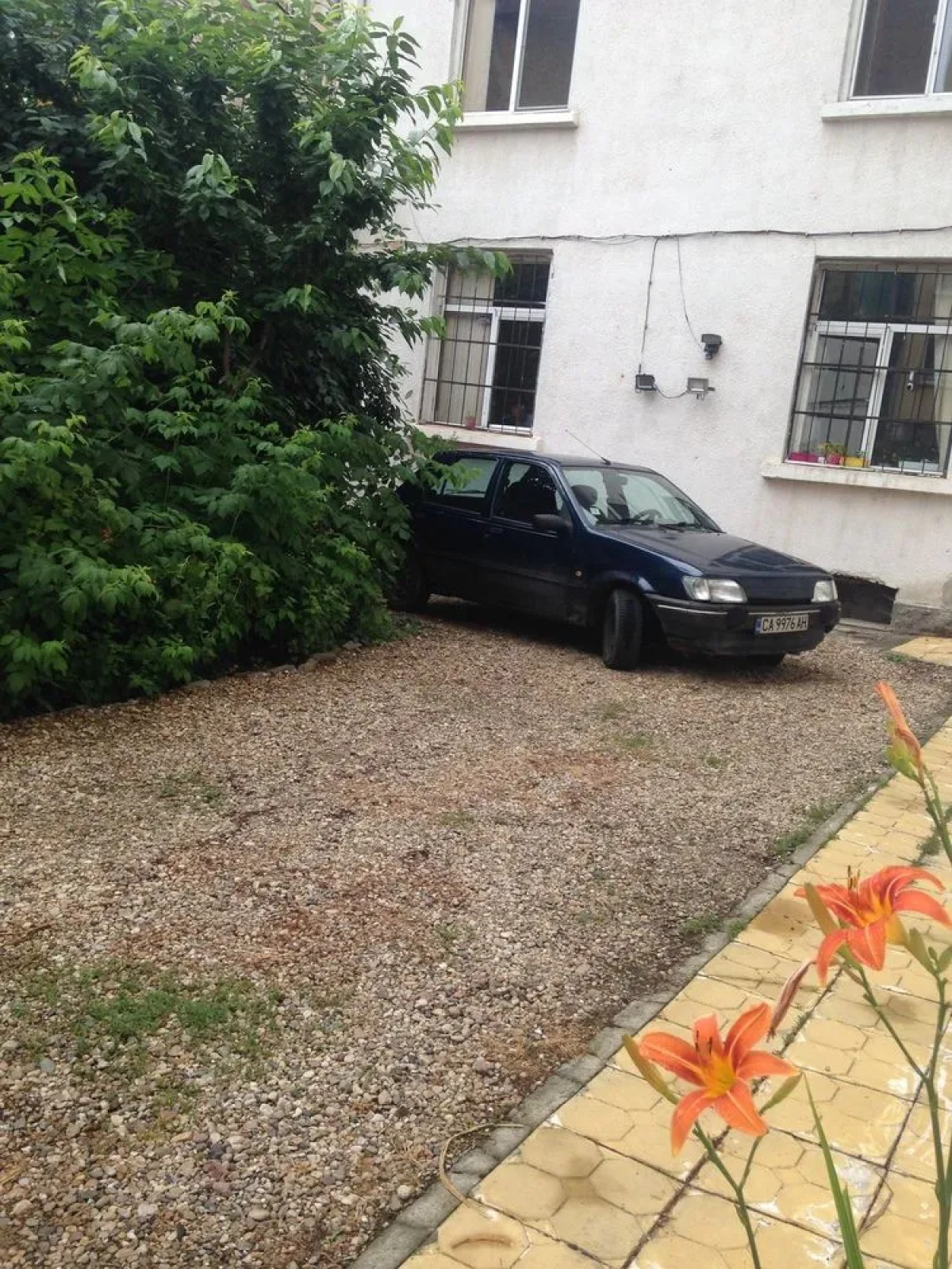 Elysia Hostel - The Blessed Home