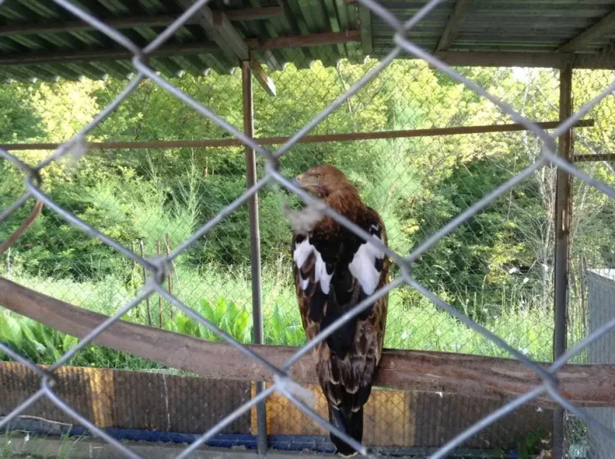 Raysky Ugolok Guest House