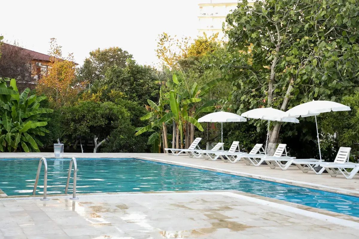 Арго (Гудаута)