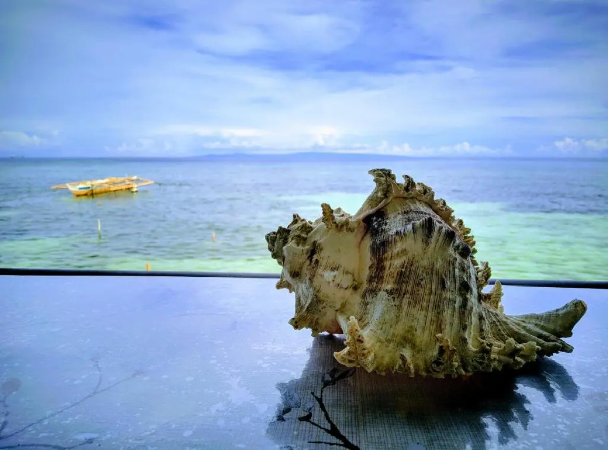 Ocean View Lodging House