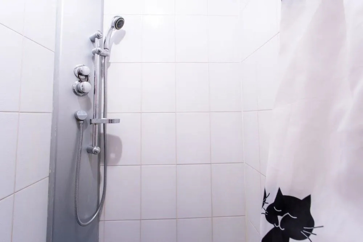 Жилое помещение Cats