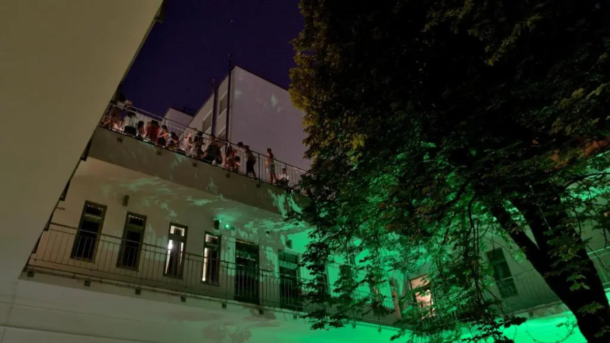 The Hive Party Hostel