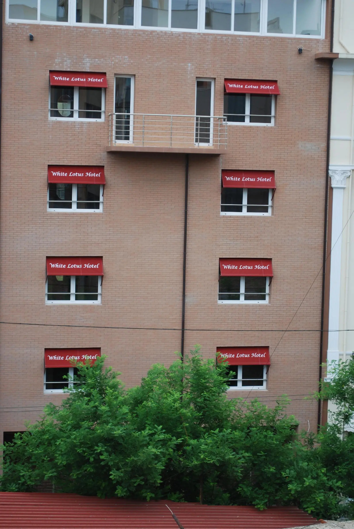 White Lotus Hotel