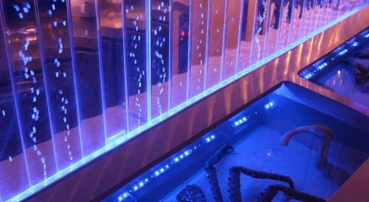 Отель «Лангуст»