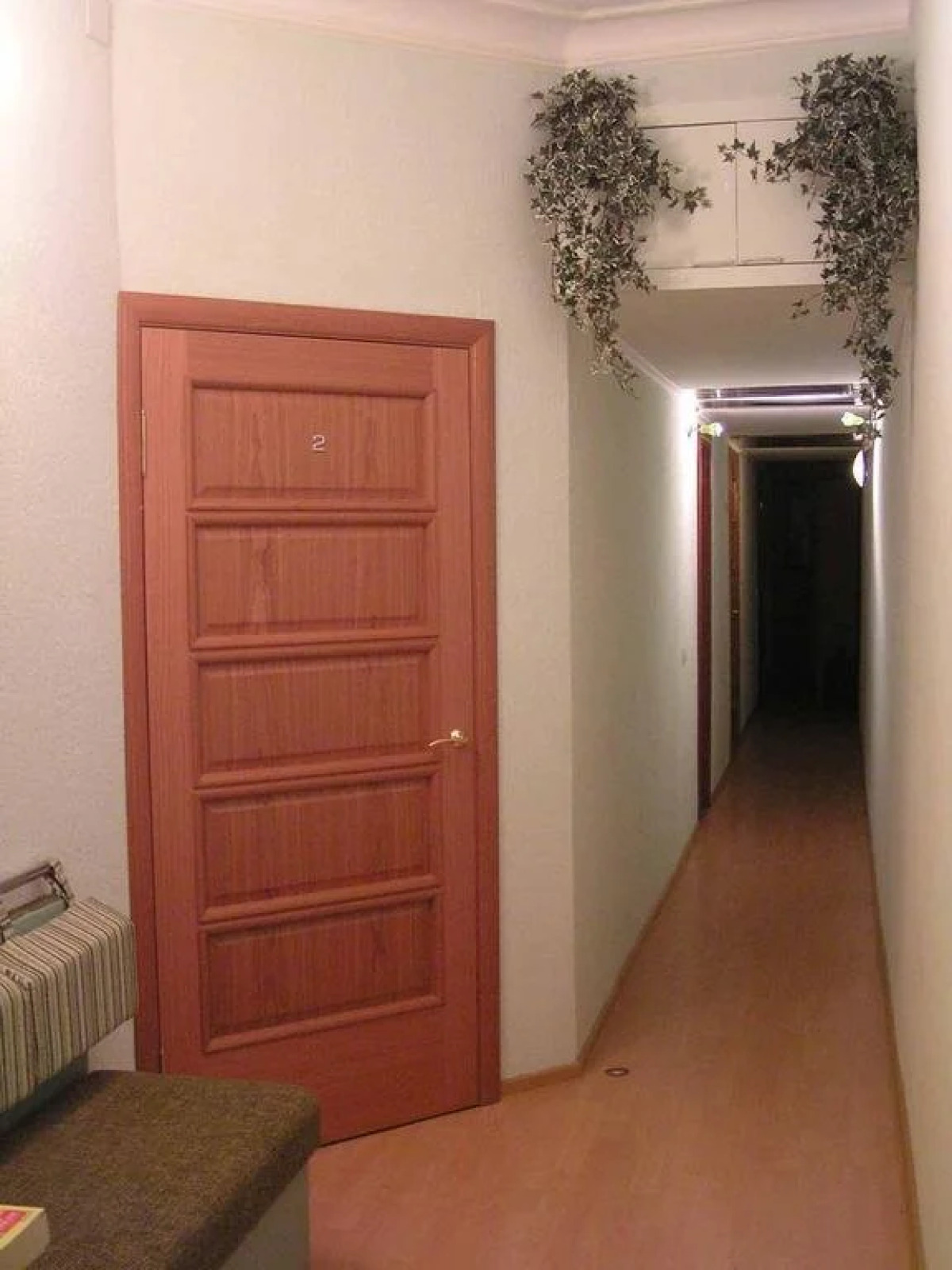 Игуана на Московском