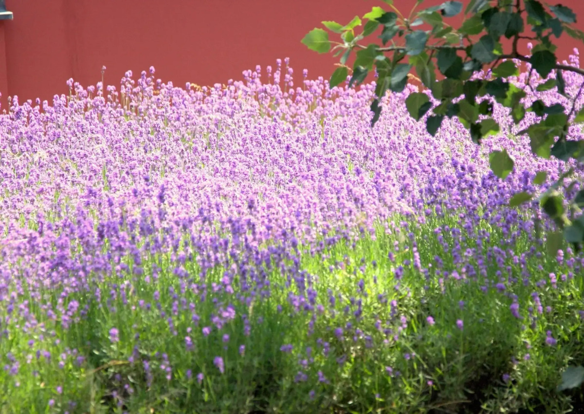 Boutiquehotel Stadthalle