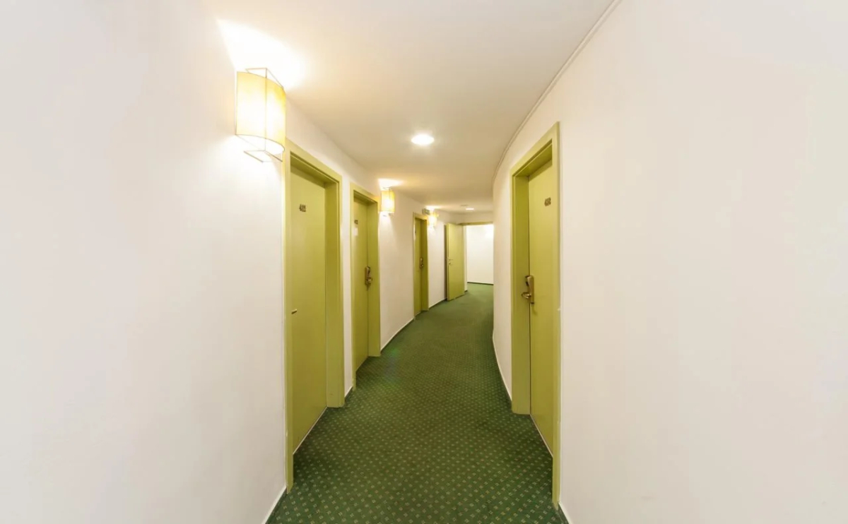 Hotel Vitkov