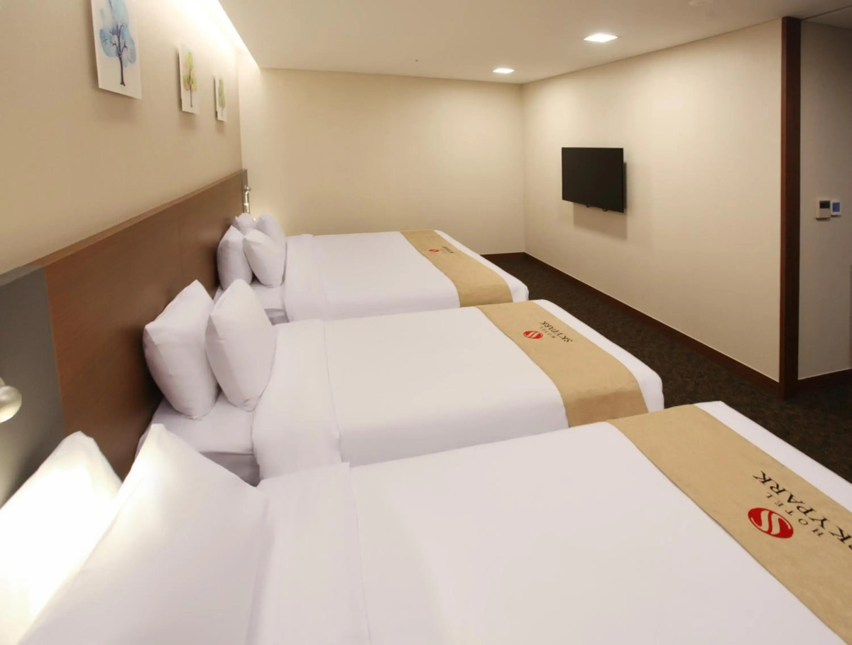 Hotel Skypark Kingstown Dongdaemun