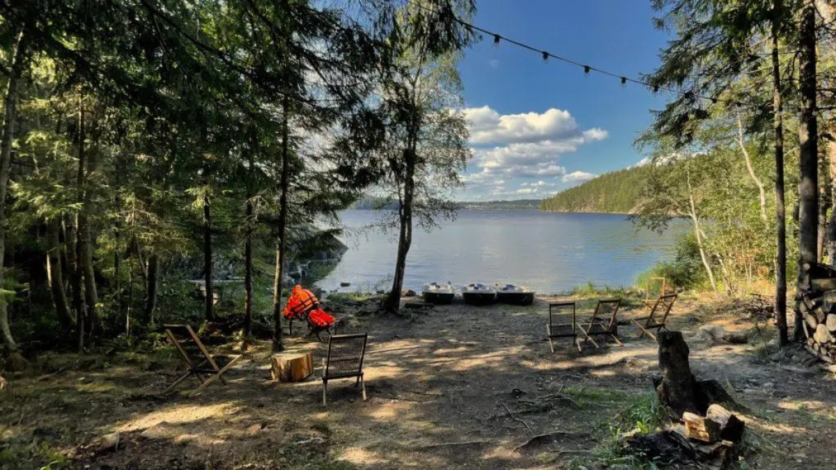 Вили Улей Карелия