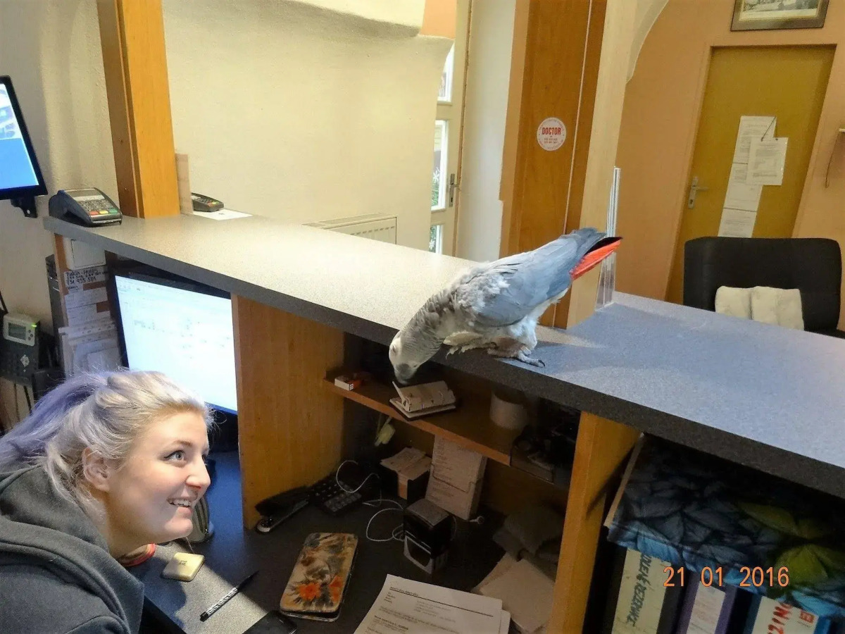 U Dvou Zlatych Klicu