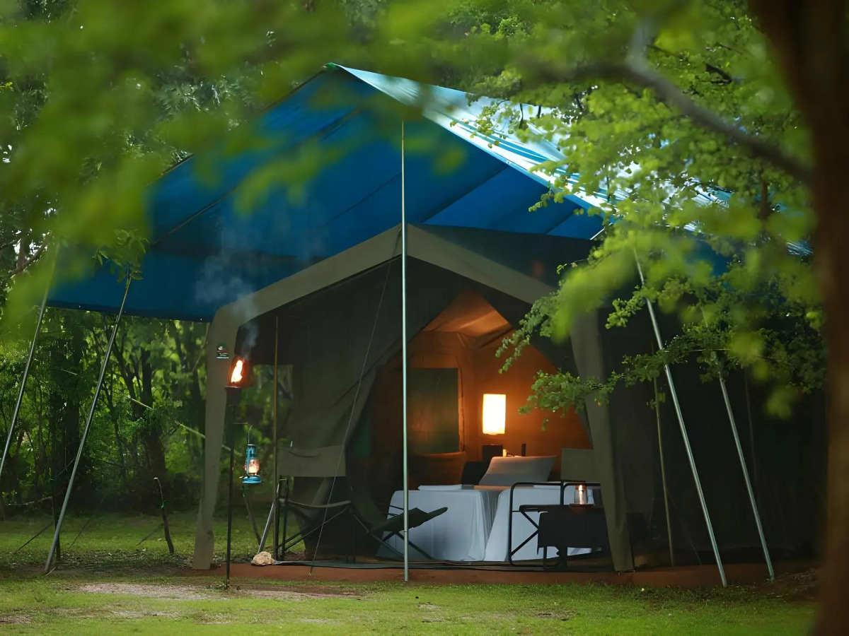 Big Game - Wilpattu by Eco Team