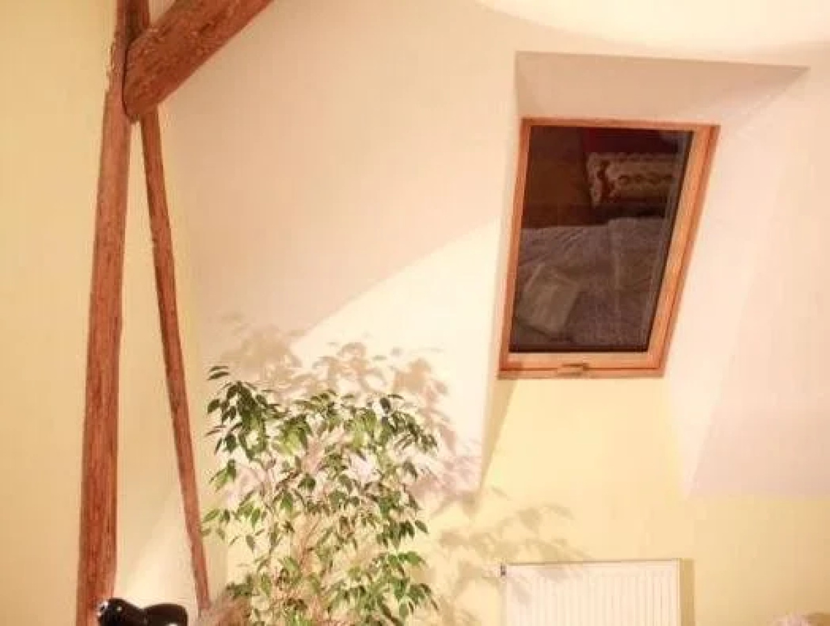 Family House