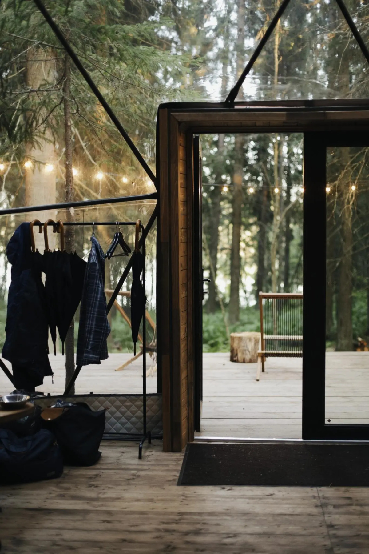 Вили Улей Карелия