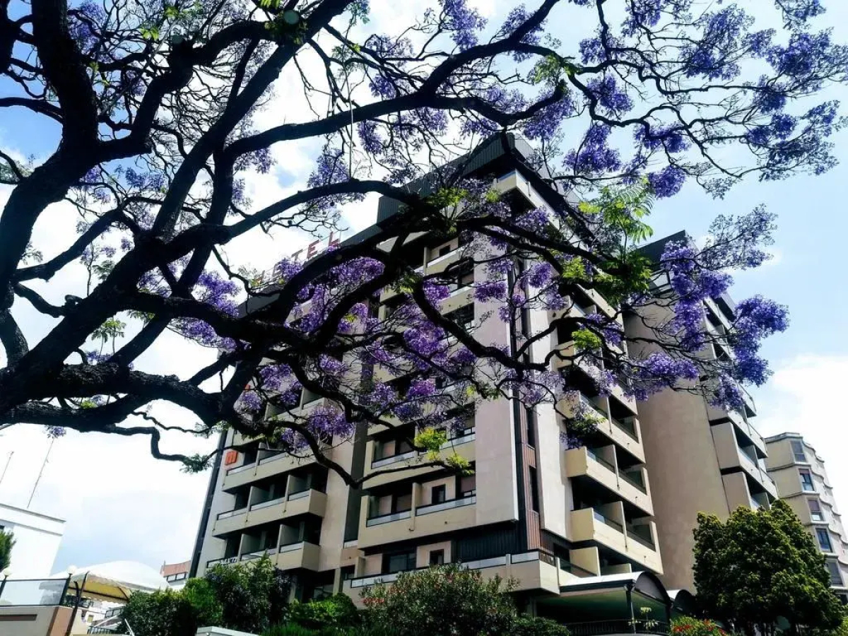 Hotel Panorama