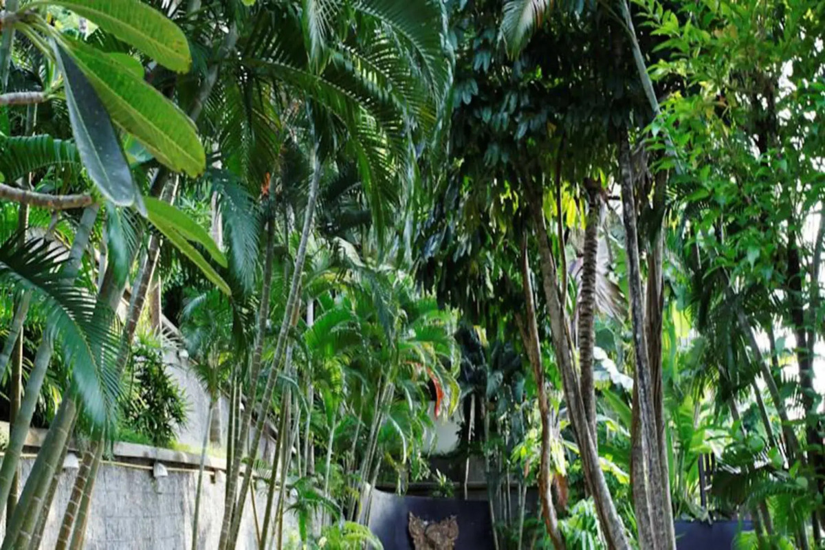 Patong Cottage Resort