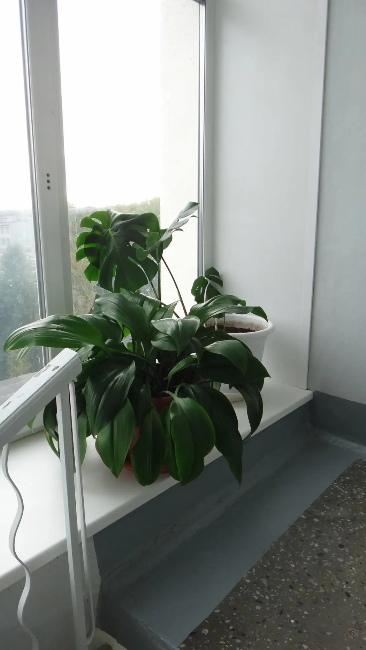 Севмаш санаторий