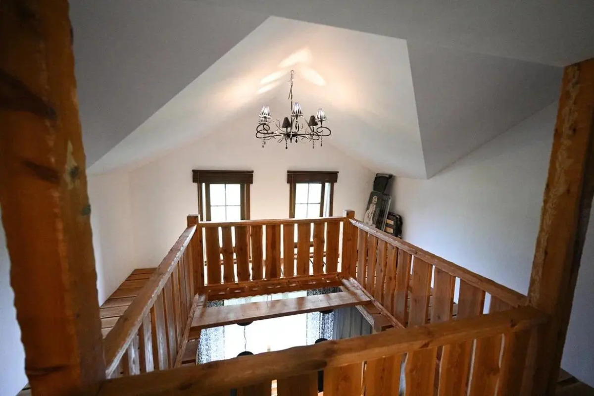 Снежные Гуси Новоснежная