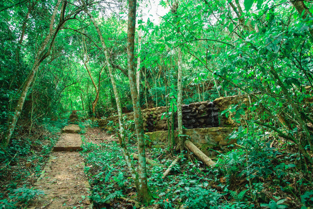 Canzi Cataratas Hotel