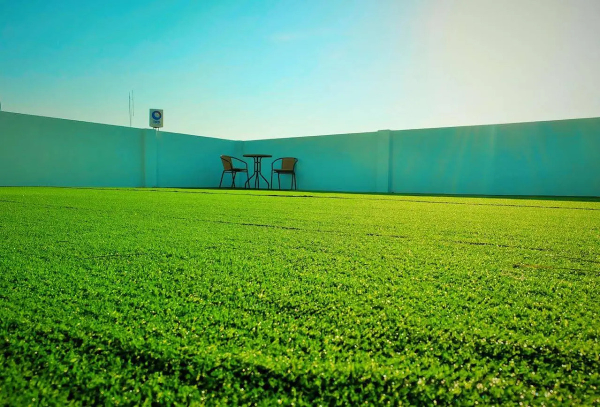 Qing lian Youth Hostel&Cafe