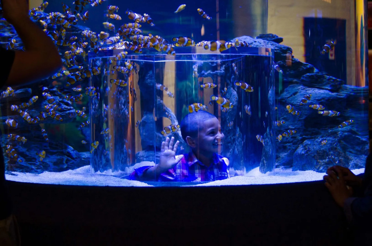 Fountains Hotel Cape Town