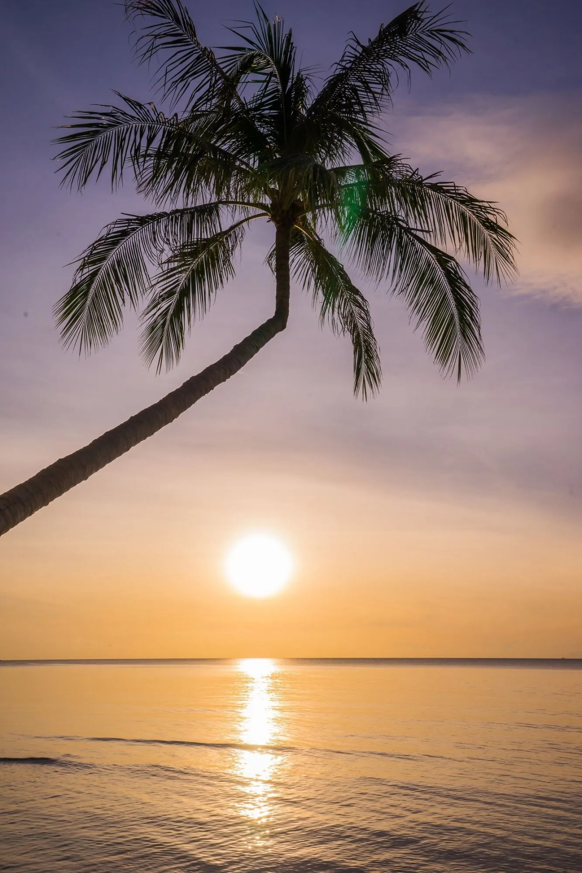 Samui Paradise Chaweng Beach Resort 