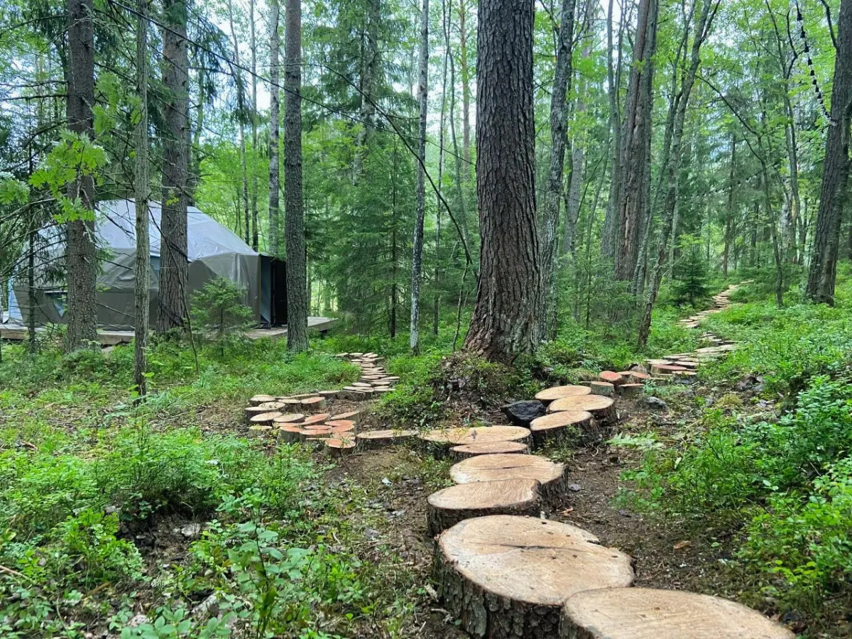 Вили Улей Карелия