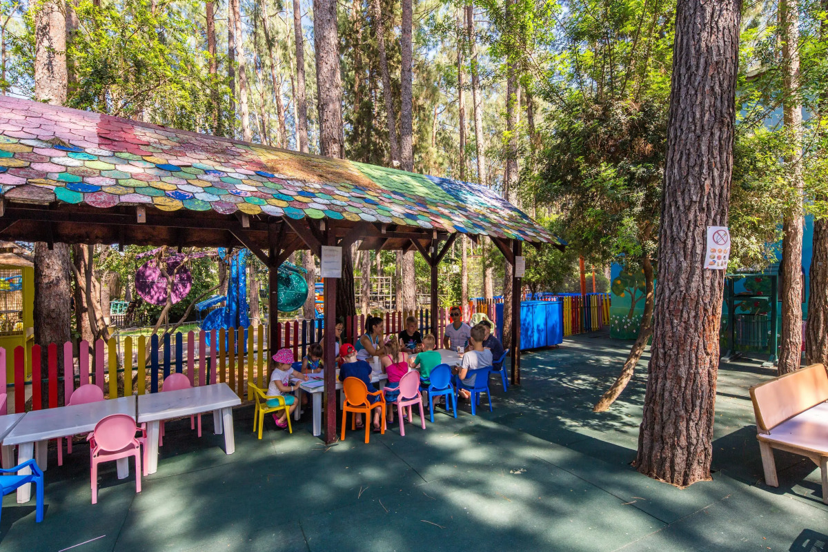 Gypsophila Club Marine