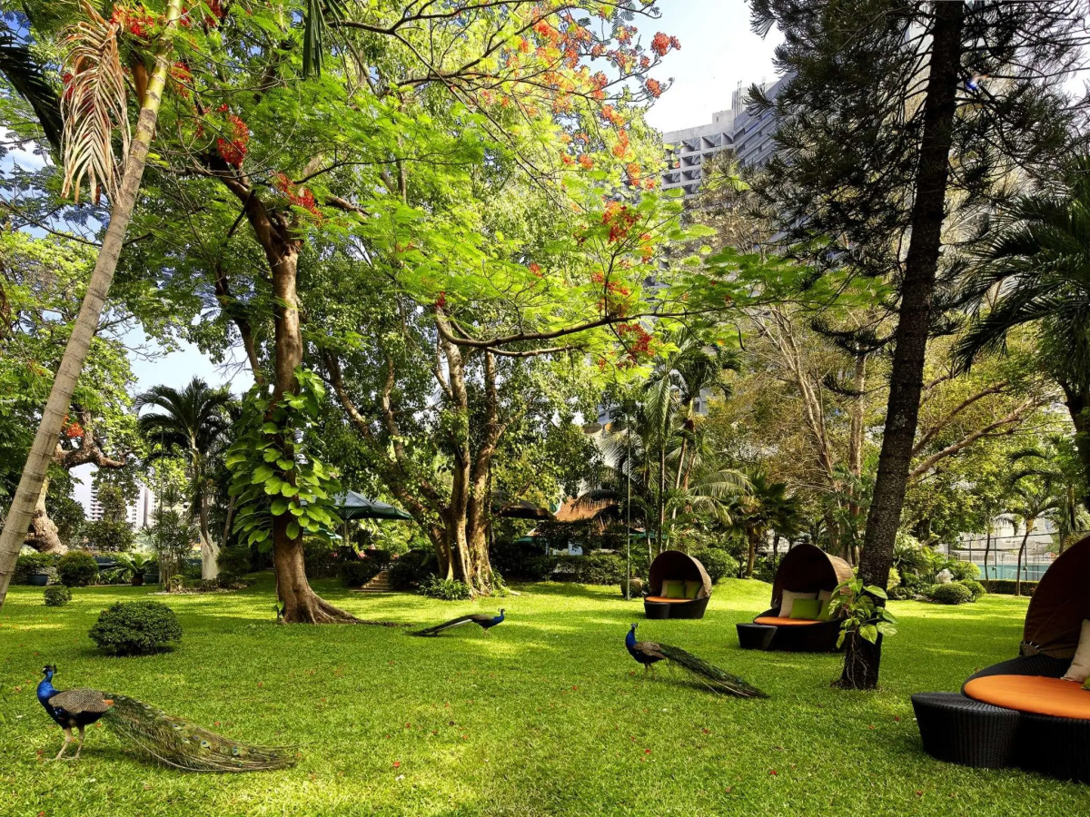 Royal Orchid Sheraton Riverside Hotel Bangkok