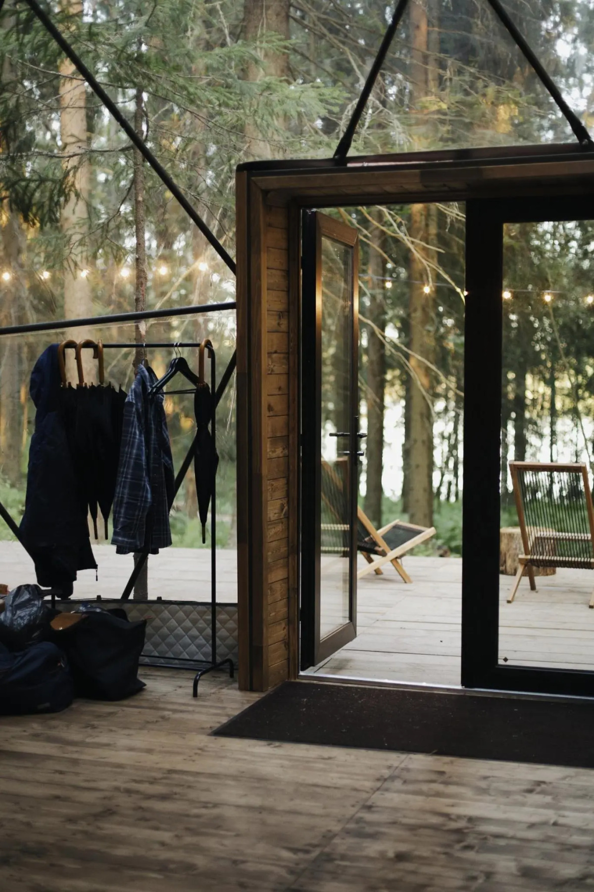 Вили Улей Карелия